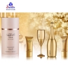 Sellion Celebrate Gold - Set Pour Femme, Eau de Parfum 100 ml, Eau de Parfum 30 ml, Lait Corporel [body lotion] 50 ml, Gel Douche 50 ml