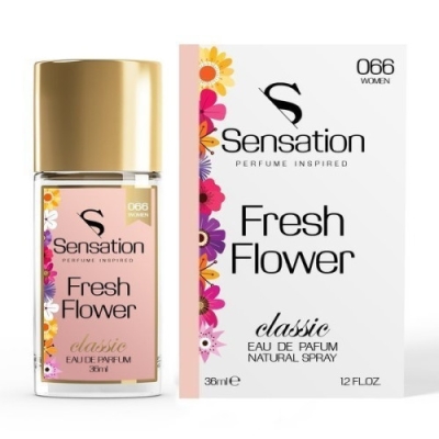Sensation 066 - Eau de Parfum pour Femme 36 ml