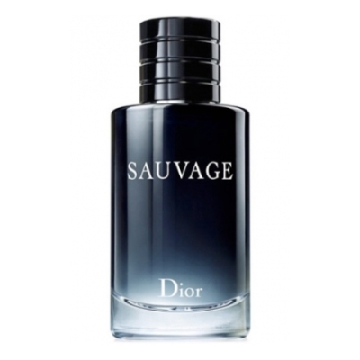 Q. Dior Sauvage 2015 - Eau de Toilette Pour Homme 100 ml